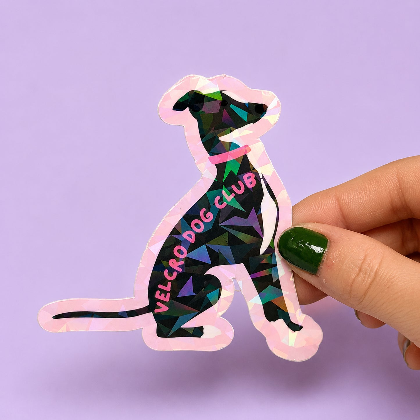 Velcro Dog Club Holographic Sticker | Relatable Stickers | Alternative Vinyl Stickers | ADHD | Neurospicy | Sad Disco Club