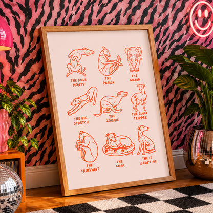 Sighthound Shapes Illustration Print | Whippet Gift | Greyhound Art