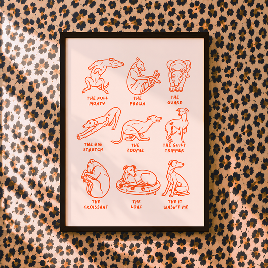Sighthound Shapes Illustration Print | Whippet Gift | Greyhound Art